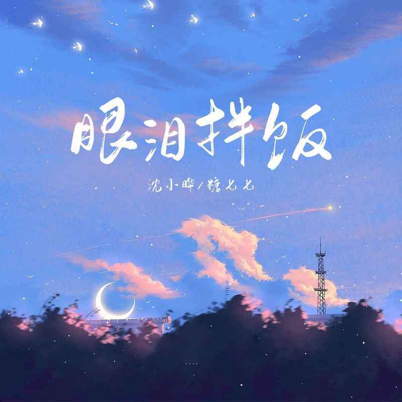 眼泪拌饭封面
