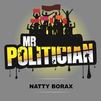 Mr Politician