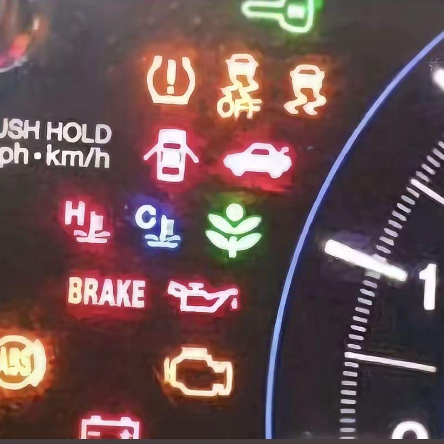 Doguştan_Beri_Haklıyım