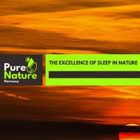The Excellence of Sleep in Nature