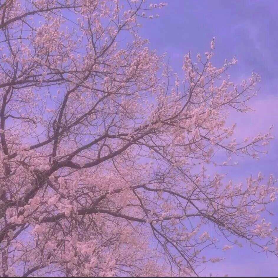 纯的music
