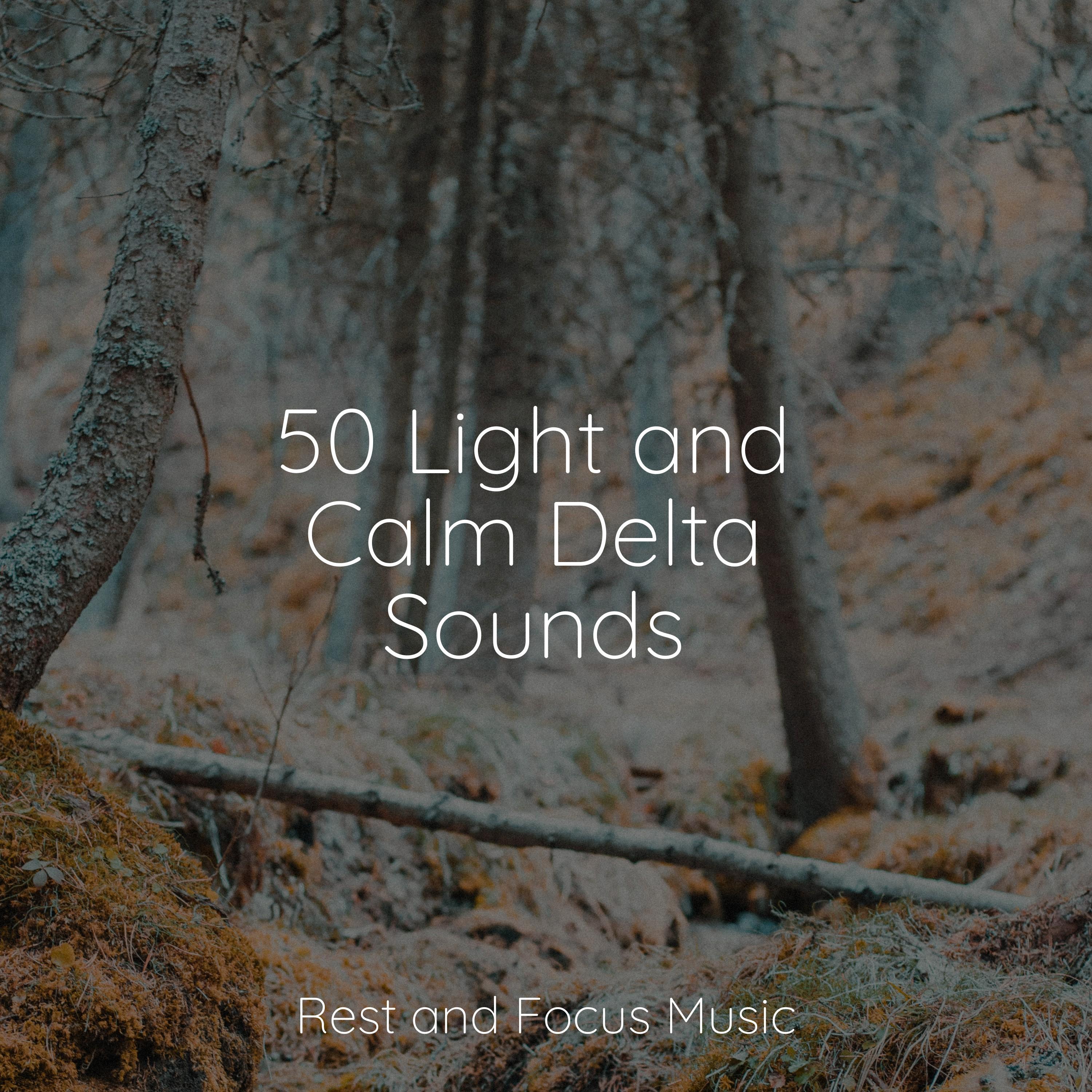 Zen Sleep Musicsupport And Help.Html - 6jrqvsy