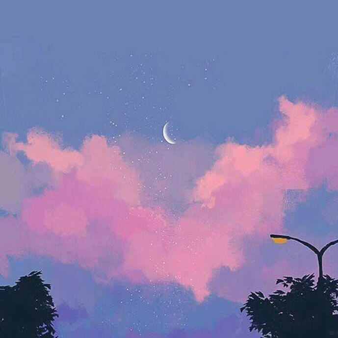 无忘花封面