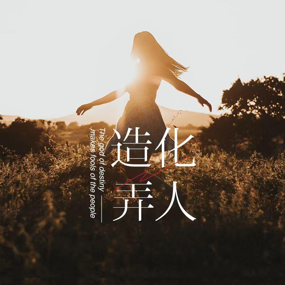 造化弄人 伴奏封面