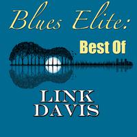 Blues Elite: Best Of Link Davis