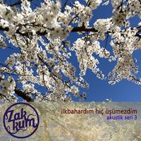 İlkbahardım Hiç Üşümezdim (Akustik Seri 3)