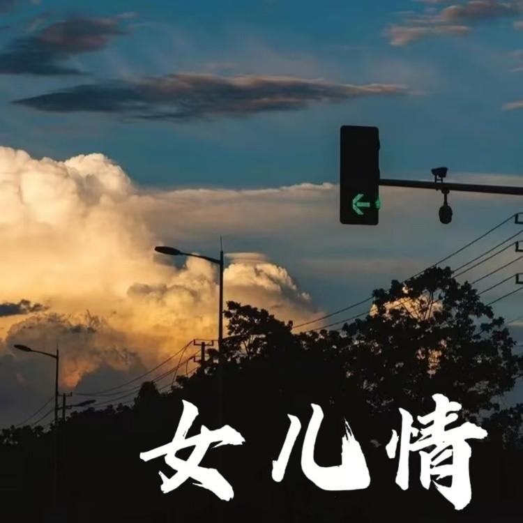 女儿情封面