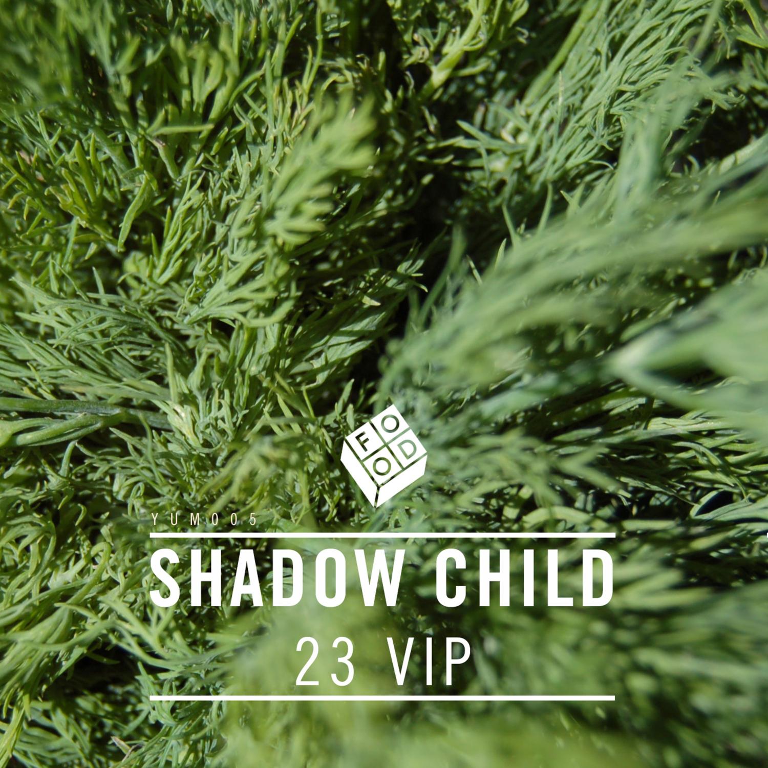 23_Shadow Child_23 Vip | 在线播放_23歌词_23下载 | 网易云音乐