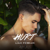 Liam Ferrari - Hurt (XRS Remix)