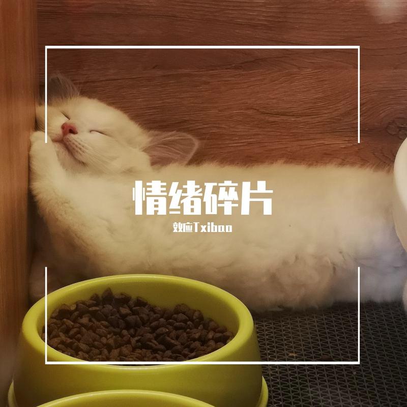 深夜电台(prod by COAST MUSIC)