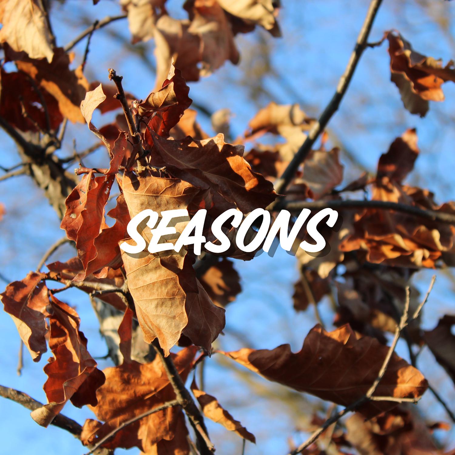 Seasons