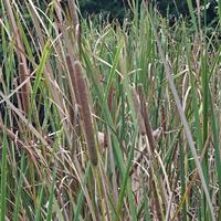 远方和诗资料,远方和诗最新歌曲,远方和诗MV视频,远方和诗音乐专辑,远方和诗好听的歌