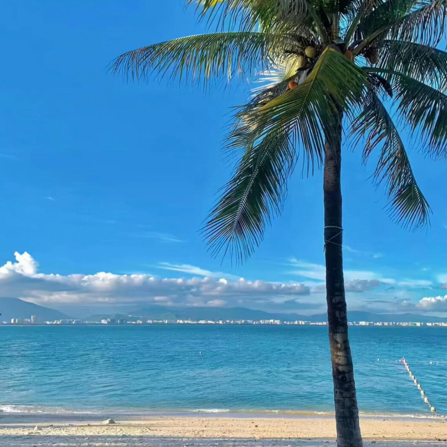 哇扣哇扣 (迈腾进行曲)