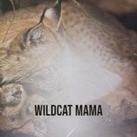 Wildcat Mama