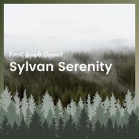 Sylvan Serenity: Peaceful Woodland Ambiance