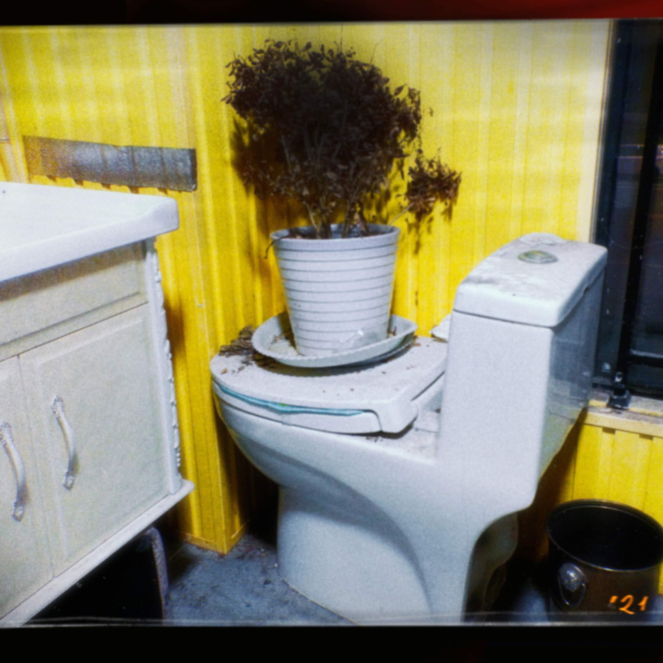 奶茶正常糖(demo)