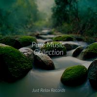 Pure Music Collection