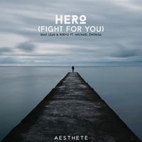 Hero (Fight For You)