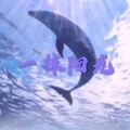 一人一马一江湖 (DJ版)封面
