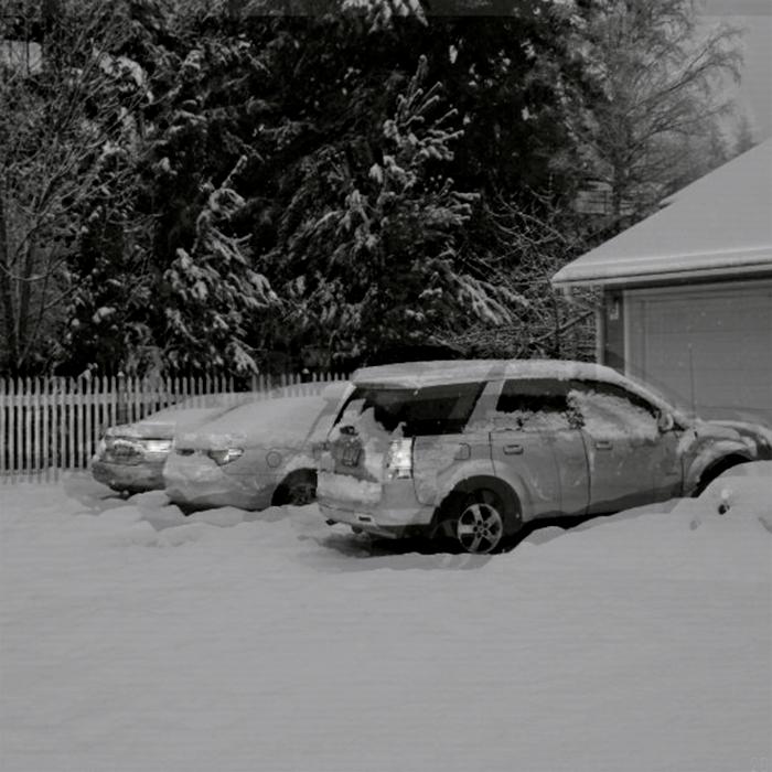 爱你的不会爱我