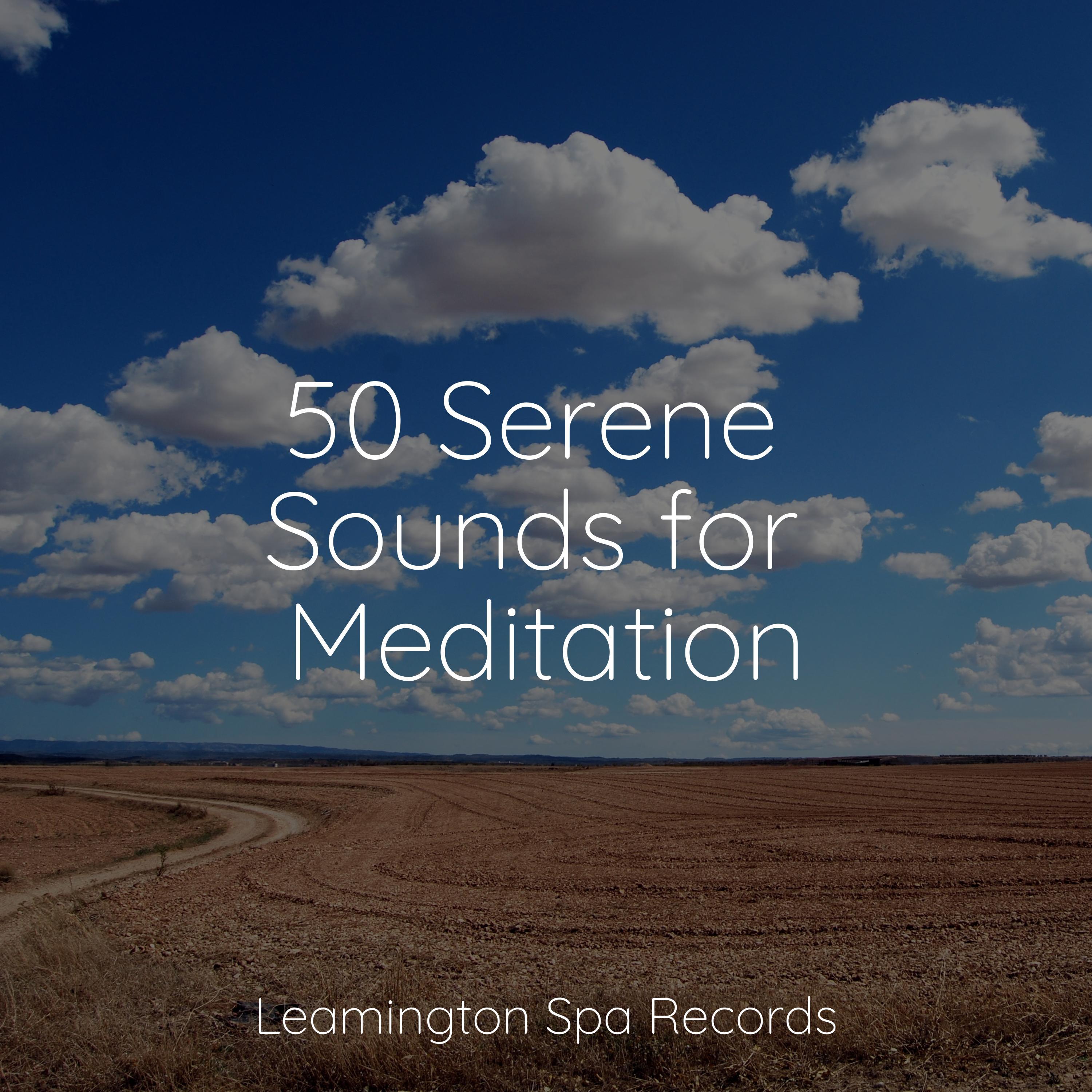 50 Serene Sounds for Meditation Relaxation Personal Guru 专辑 网易云音乐