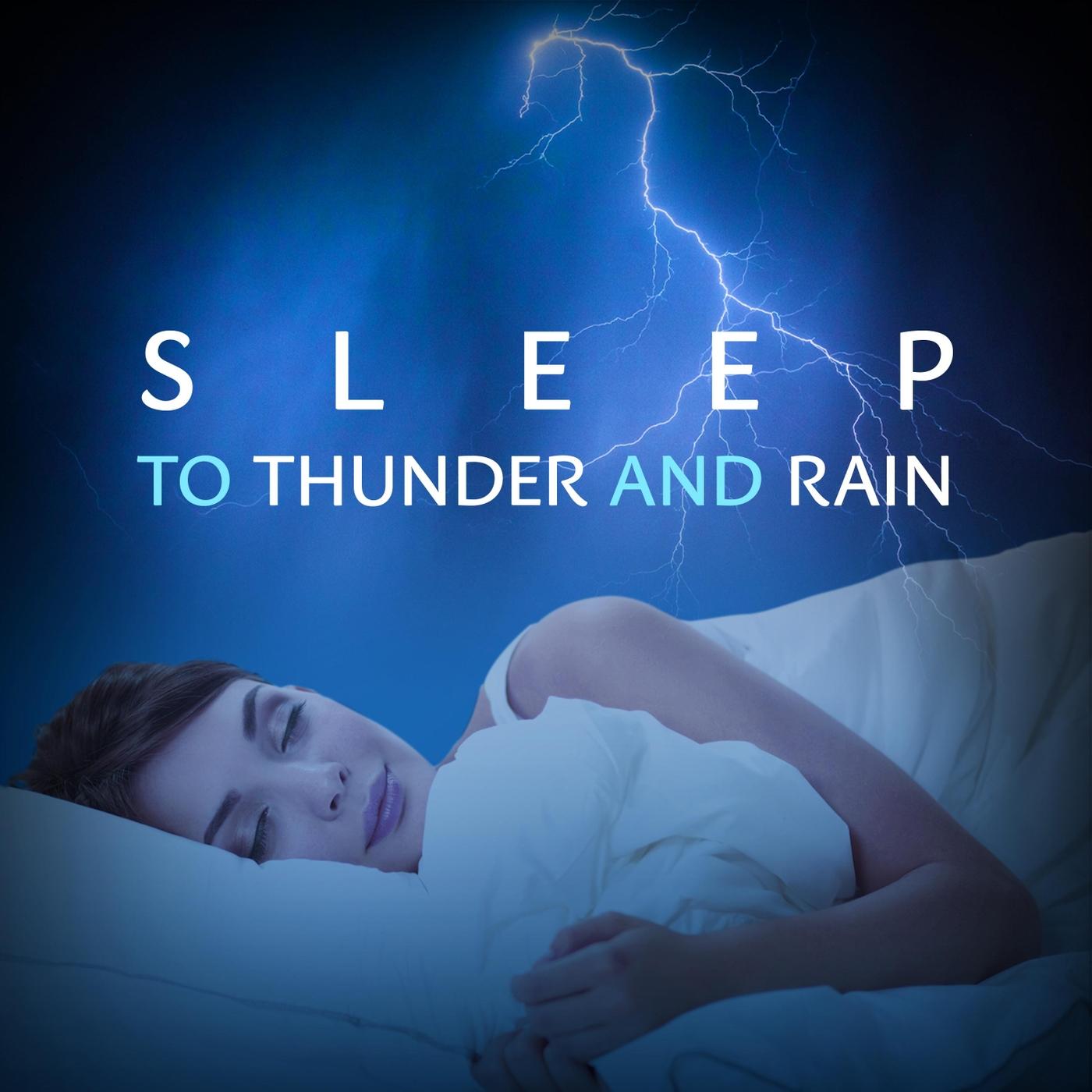 Calming Rain in the Forest with Passing Thunder