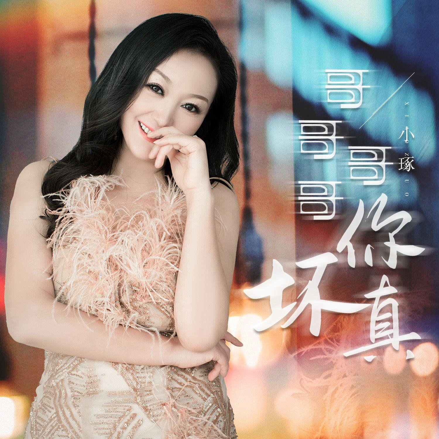 哥哥哥哥你真壞（DJ月之歌版） 海報