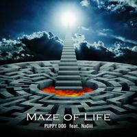 MAZE OF LIFE