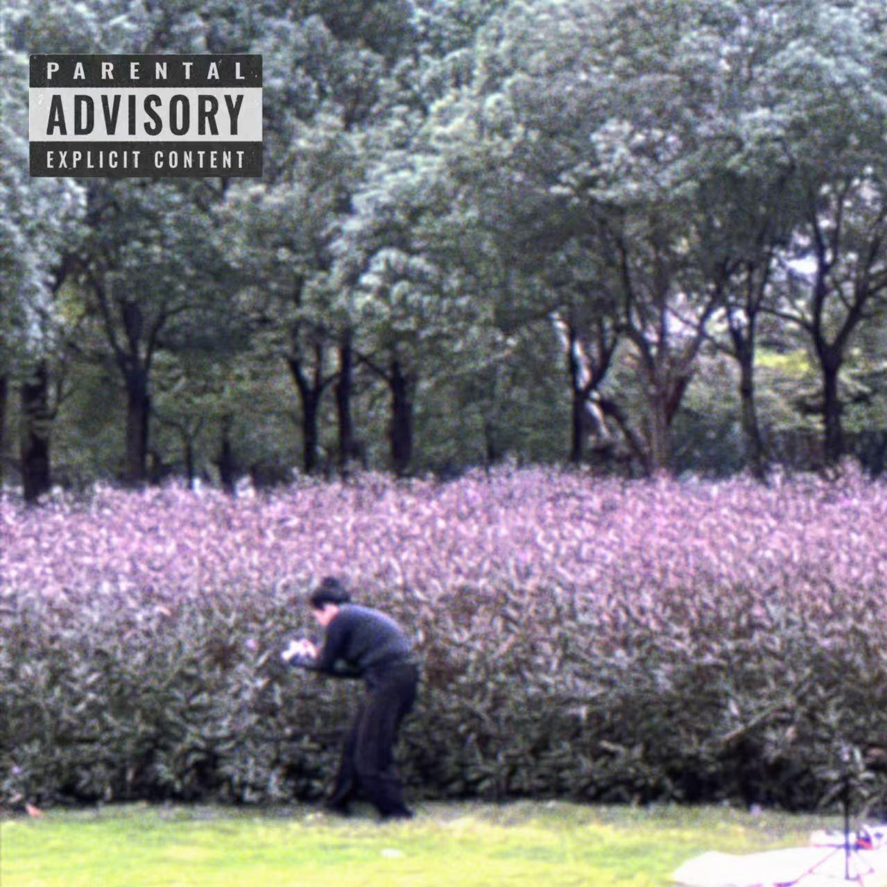 怎么形容（prod.RoyalBoyBrazy)