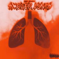 Smoker Lungs