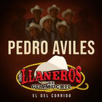Pedro Aviles (En Vivo)