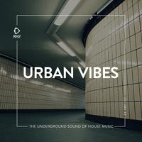 Urban Vibes, Vol. 44