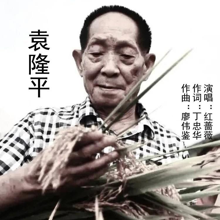 袁隆平 (伴奏)封面