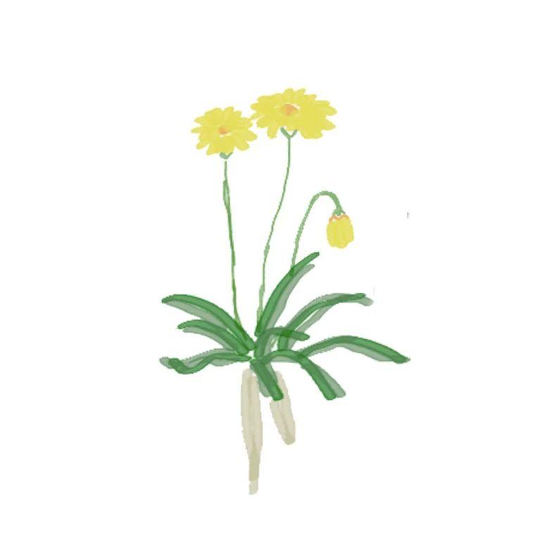 that's alright_波波沙_GRASSROOTS | 在线播放_that's alright歌词_that's alright下载 | 网易云音乐