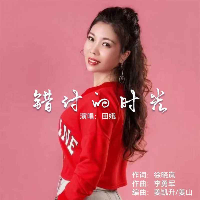 错付的时光封面