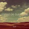 DLR - Esprit de guerrier