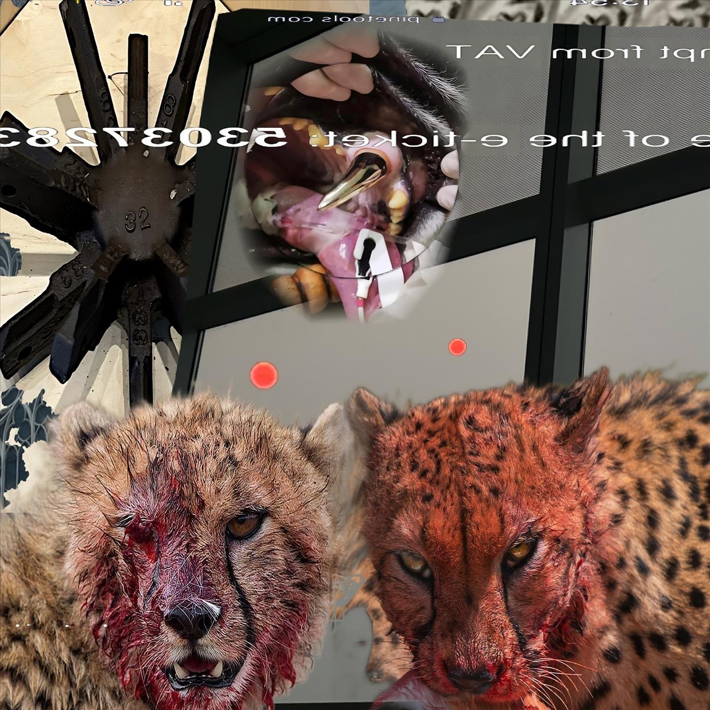 turn around (feat. swaggaholix & michaelis)