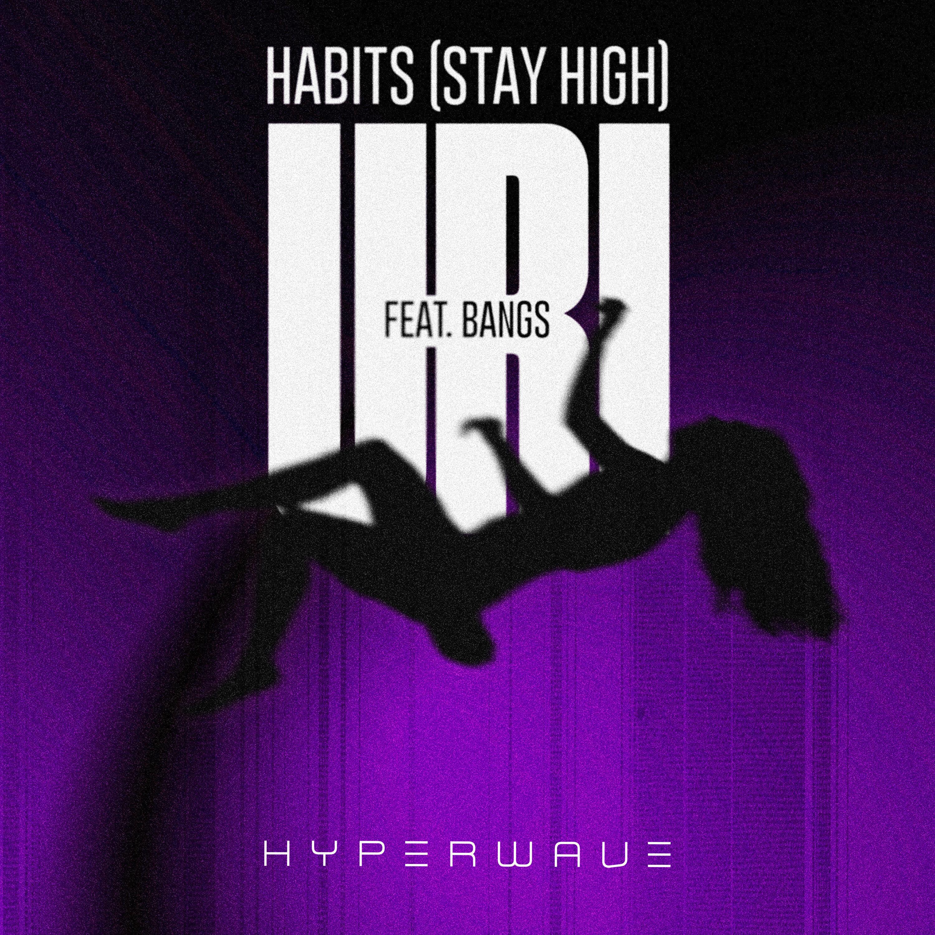 Habits (Stay High)