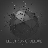 Electronic Deluxe, Vol. 1