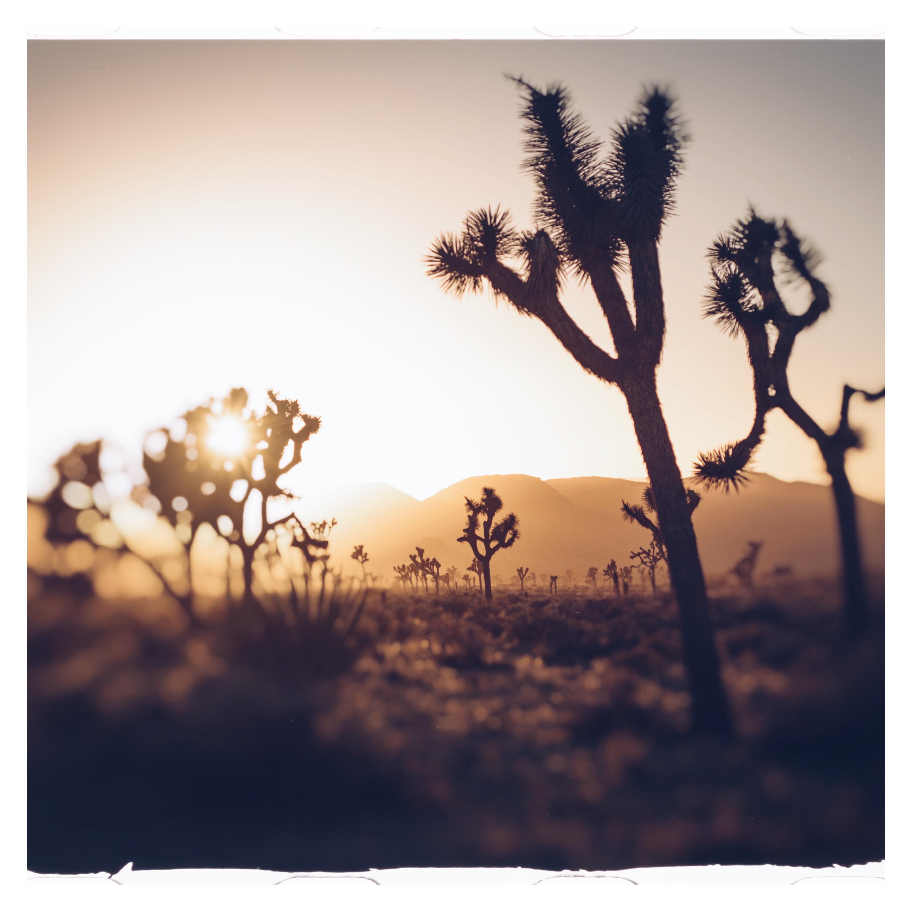 It's Our Time (feat. Roary) (Instrumental)