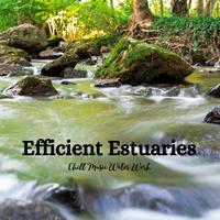 Efficient Estuaries: Chill Music Water Work