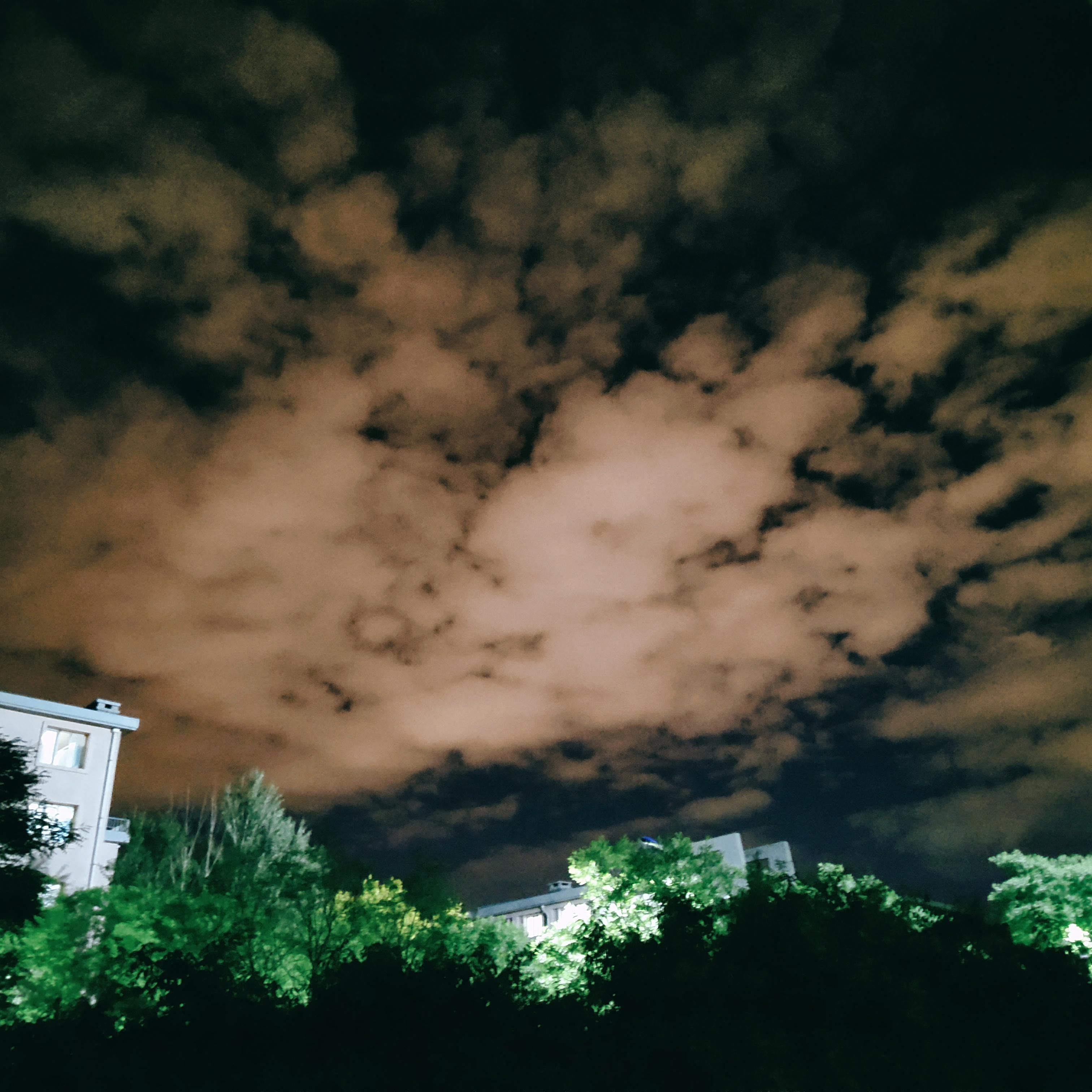 我还是会怀念一月的岛城封面