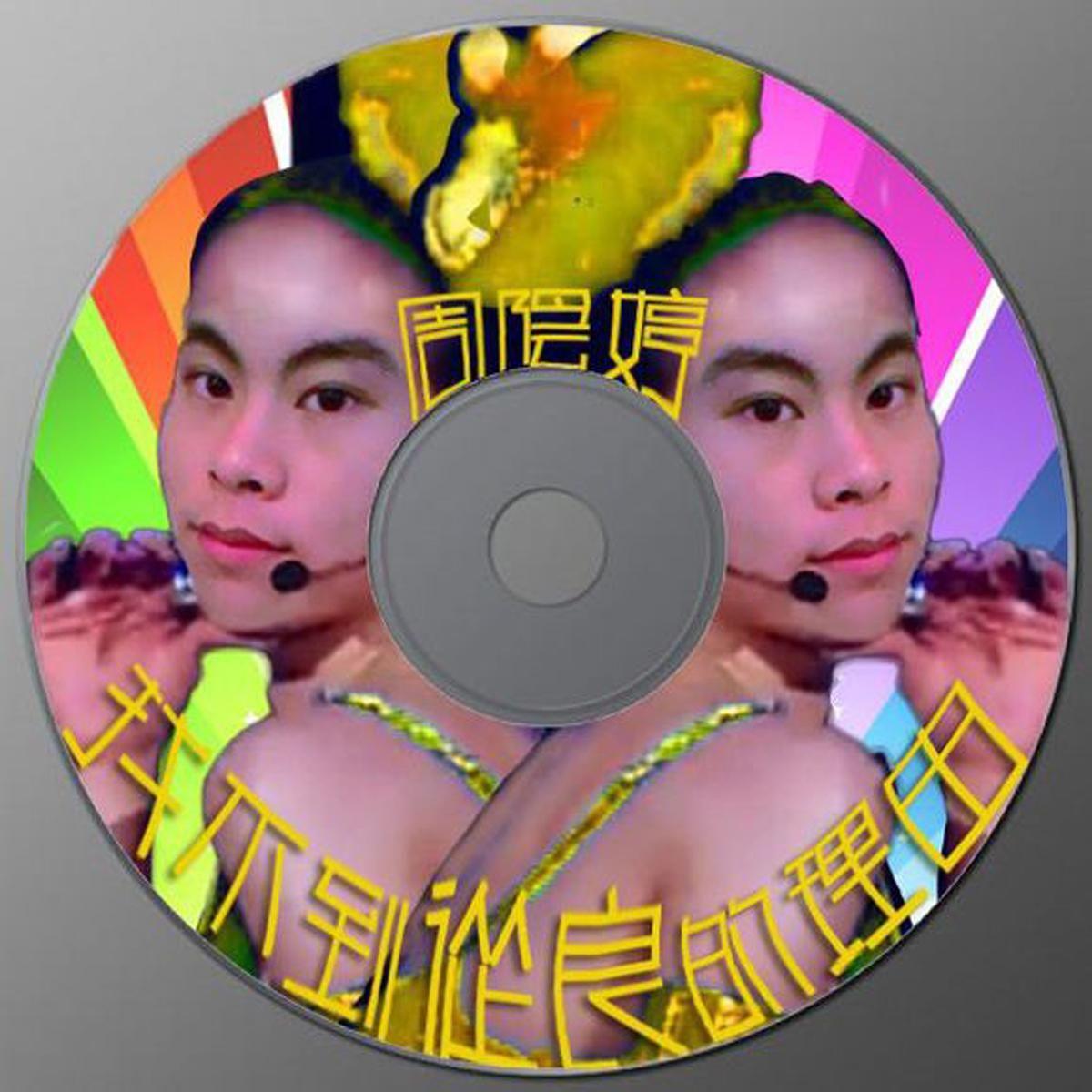 找不到从良的理由封面