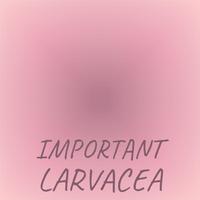 Important Larvacea