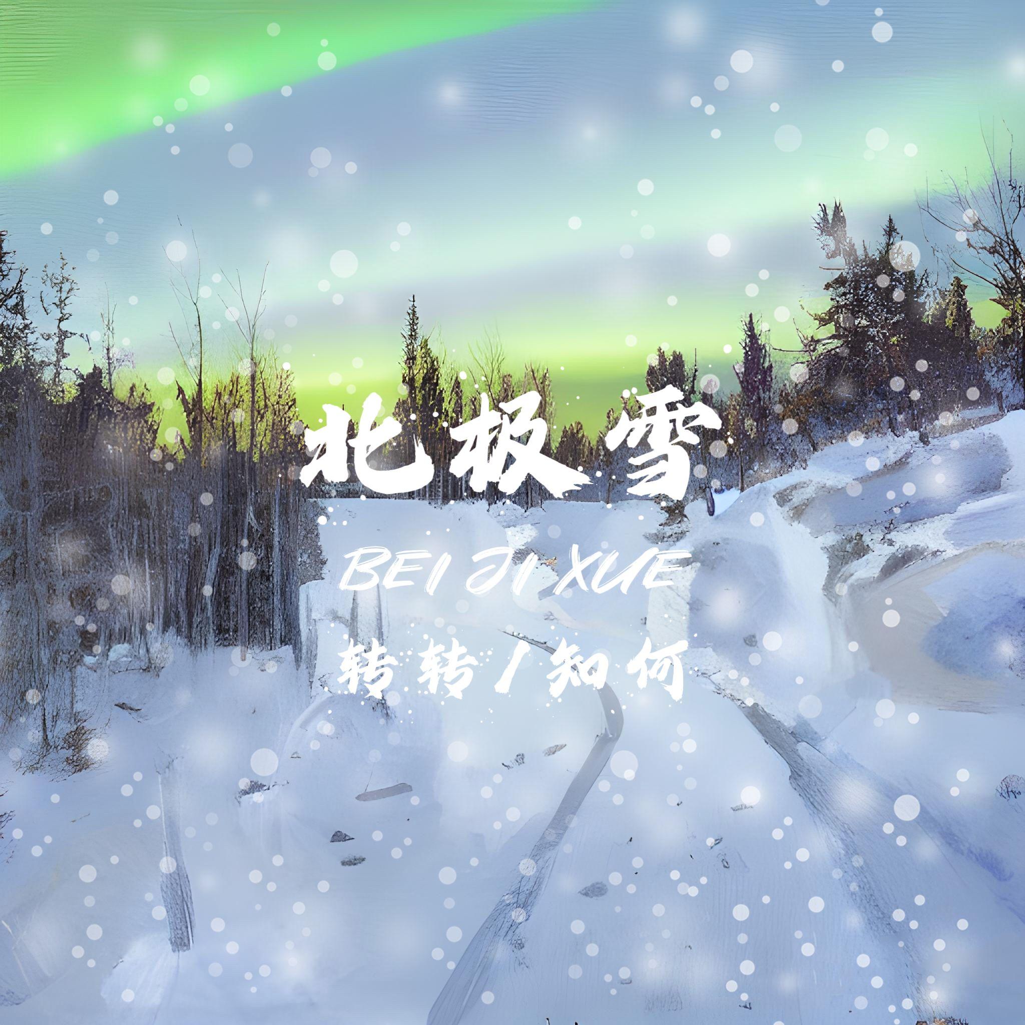 北极雪封面