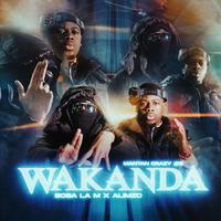 MatanCrazy #3(Wakanda)