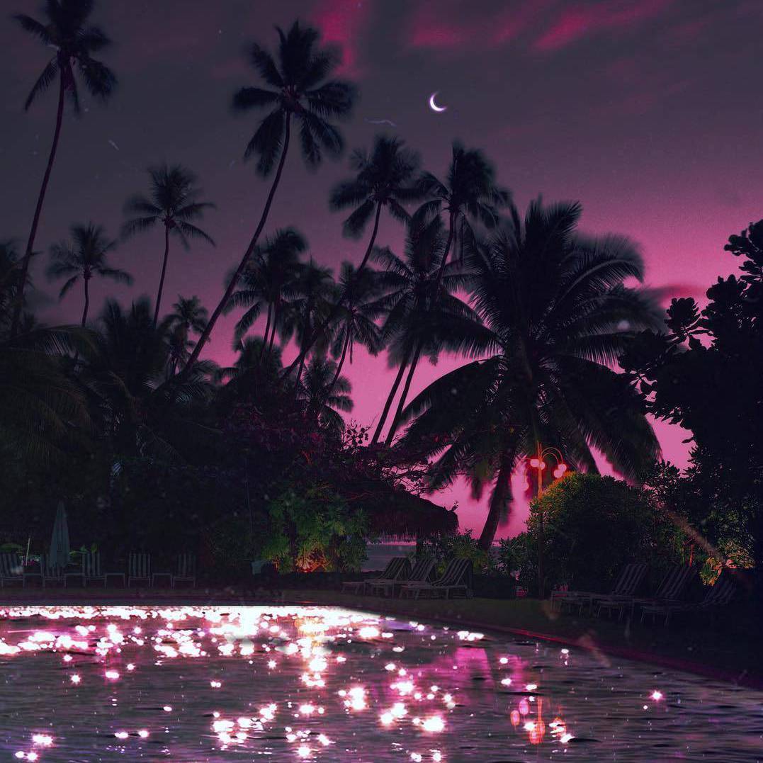 Wind Flower（翻自 MAMAM00）