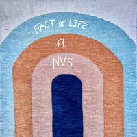 Fact of Life (feat. NVS)