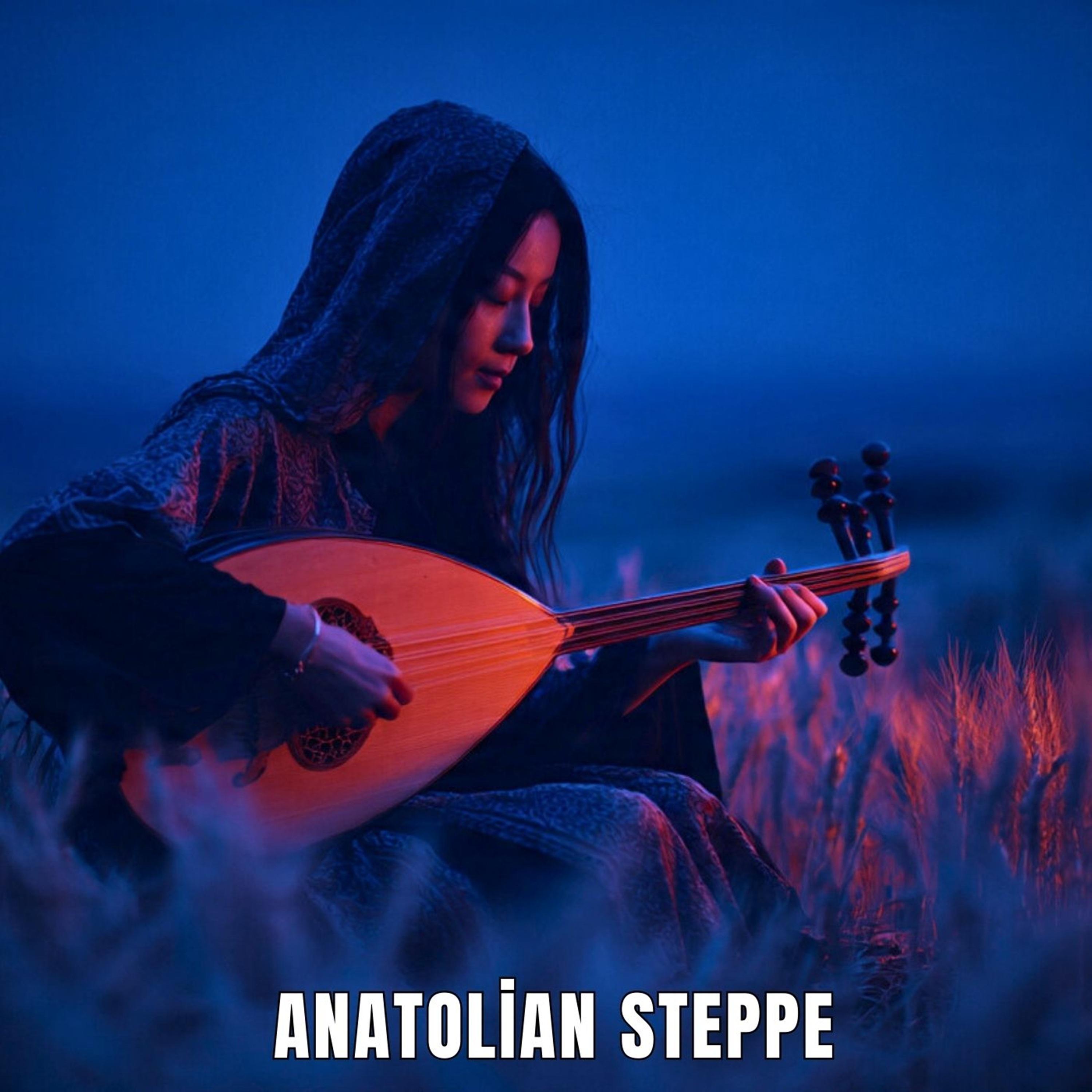 Anatolian Steppe