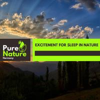 Excitement For Sleep in Nature